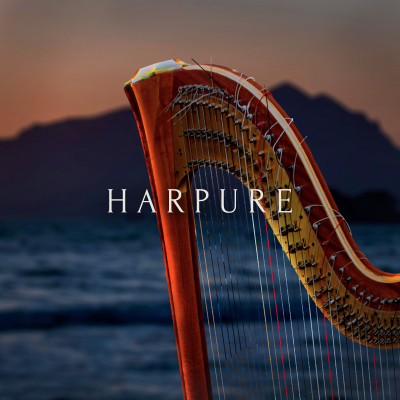Harpure-v1.2 Harpure-v1.2